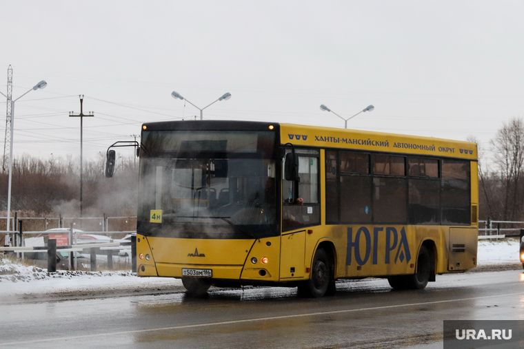 Сургуту требуются 150 новых автобусов
