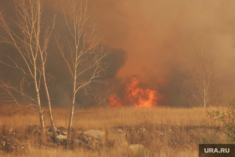 Вслед за большой водой в регионы могут прийти природные пожары