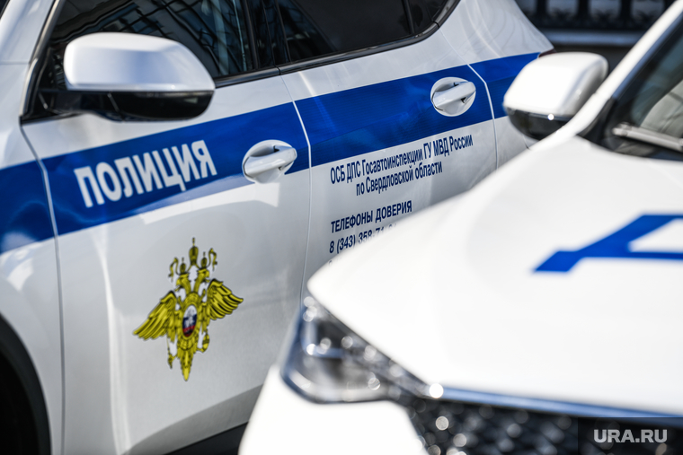 В тюменской полиции сделают ставку на молодых сотрудников