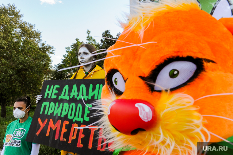 "Зеленые" не дадут выборам остаться без своего кандидата