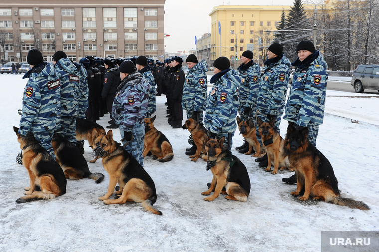 Полиция. Челябинск., кинологи, служебные собаки