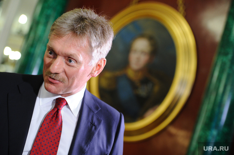 Послание Президента РФ В.Путина Федеральному собранию. 4 декабря 2014г., песков дмитрий, портрет