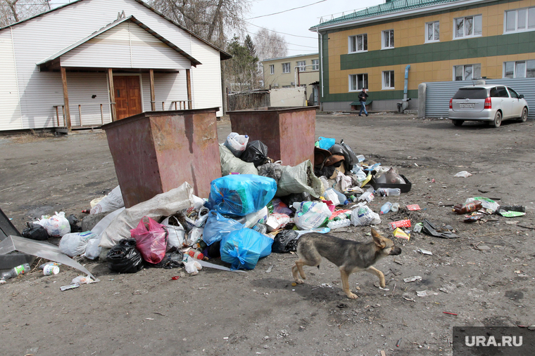 Мусор и свалки в городе. Курган, мусор, улица омская30