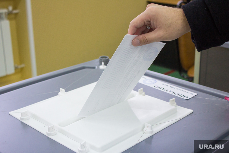 Выборы губернатора Тюменской области. Нижневартовск, урна для голосования