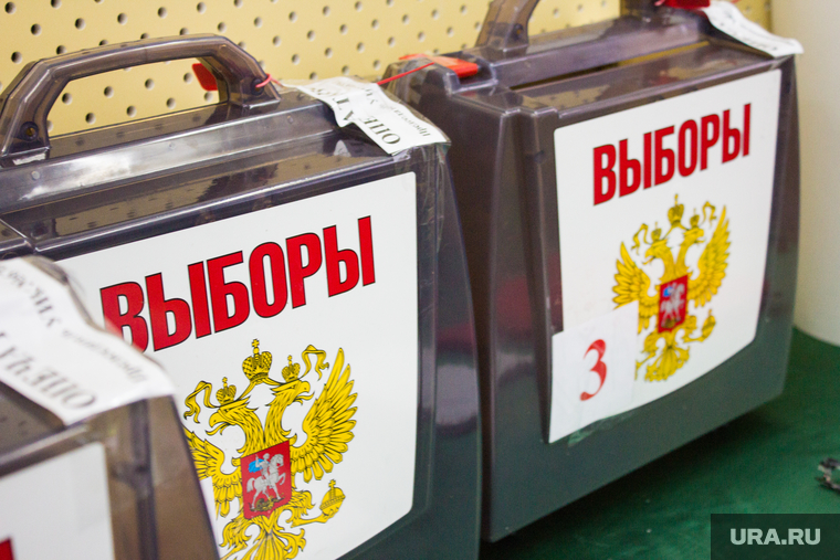 Выборы губернатора Тюменской области. Нижневартовск, топ, урна для голосования, выборы 2024