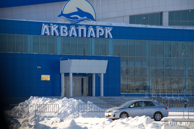 Аквапарк сургут. Сургут открытие аквапарка фото.