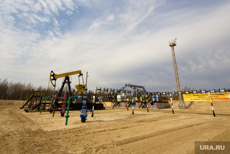 Роснефть. Нижневартовск
, роснефть, качалка, куст, добыча нефти