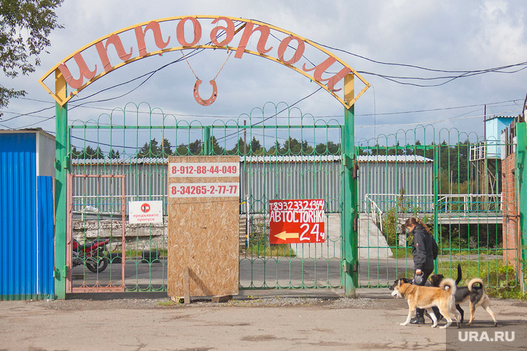 Пермский Ипподром . Пермь, ворота, охрана, ипподром
