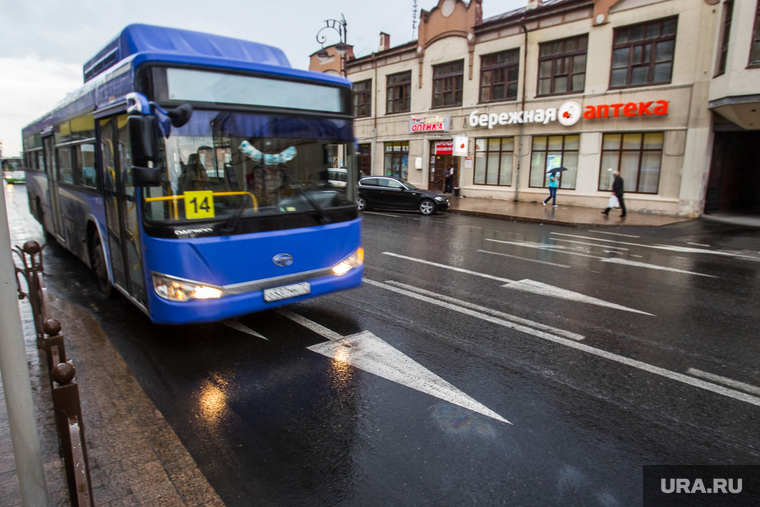 Выделенная полоса для автобусов. Тюмень, выделенная полоса, автобус, общественный транспорт