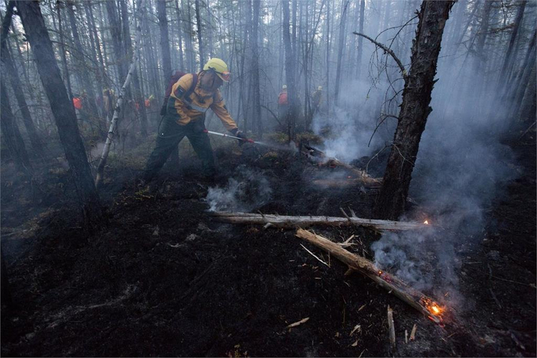Открытая лицензия на 29.07.2015. Лесной пожар, пожар, лес