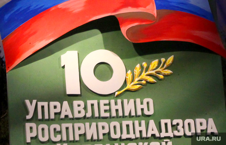 Росприроднадзор 10 лет
Курган, росприроднадзор 10 лет