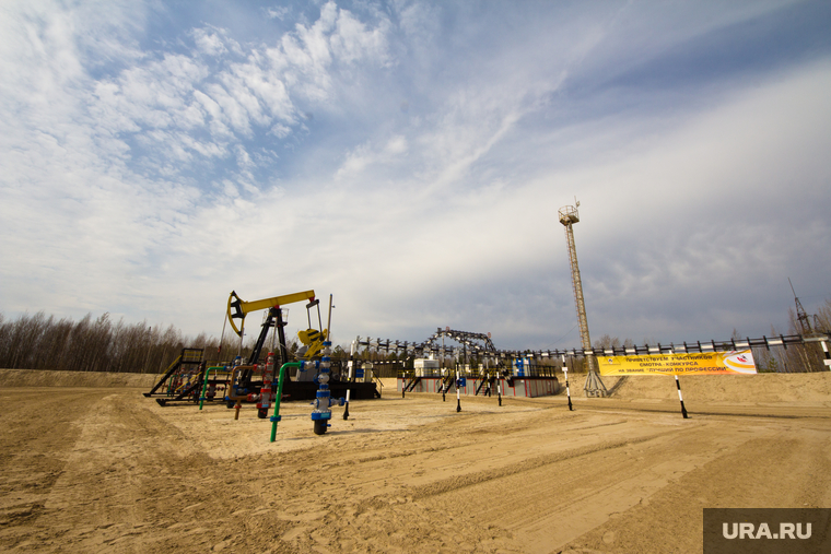 Роснефть. Нижневартовск
, роснефть, качалка, куст, добыча нефти