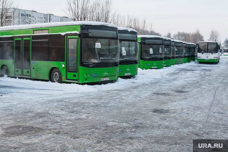Депутатский рейд по автобусам Тюмень, автобус, автобусный парк