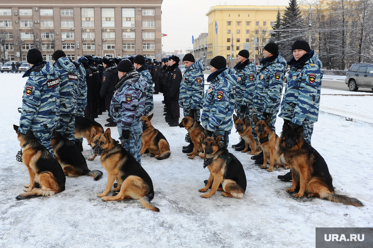 Полиция. Челябинск., кинологи, служебные собаки