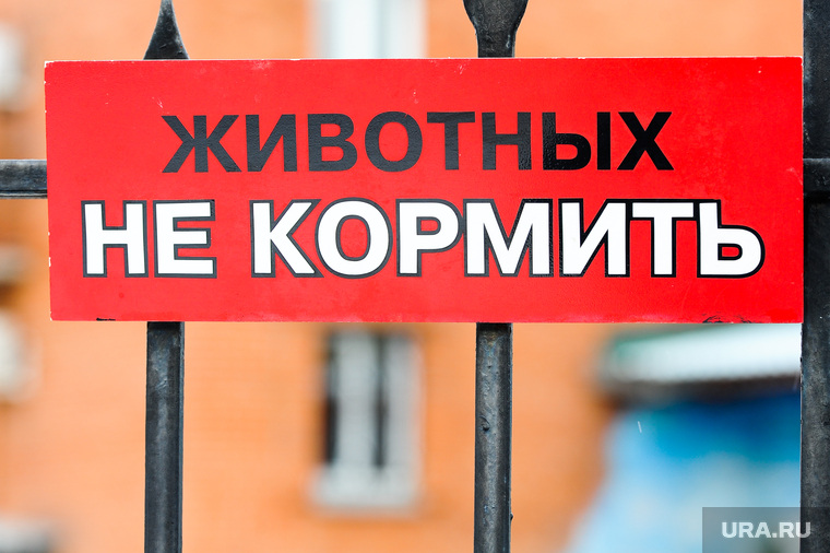 Челябинский зоопарк. Животные.Челябинск., животных не кормить, табличка