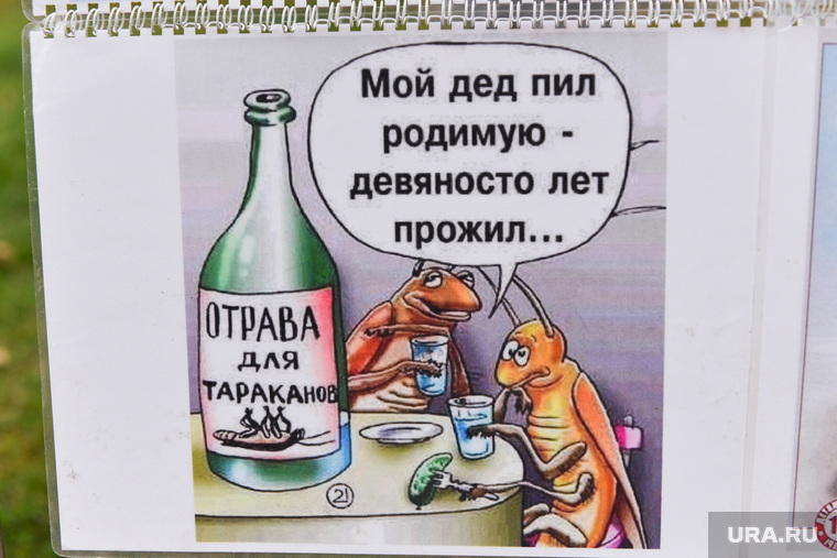 Молебен за трезвость. Челябинск., отрава для тараканов