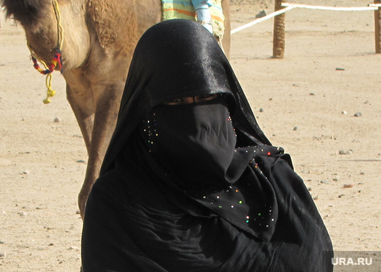 Египет, отдых туристов, хиджаб, верблюд, пустыня, шахидка