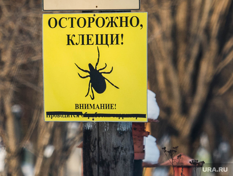 Северное кладбище и могила Александра Хабарова. Екатеринбург, осторожно клещи, табличка