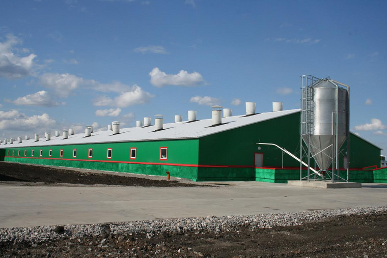 Сайт свинокомплекс уральский. Сайт свинокомплекс уральский. Сайт свинокомплекс уральский. Свинокомплекс полевской. Свинокомплекс уральский катайск.