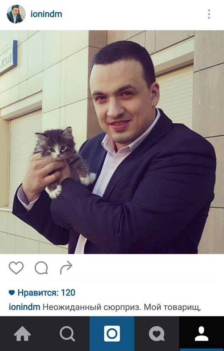 Кот Митя, подаренный депутату жителями Серова