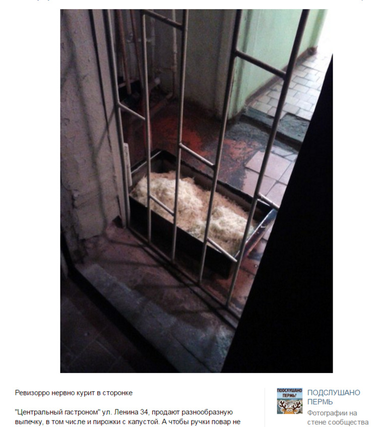 Пользователи обсуждают капусту для пирожков