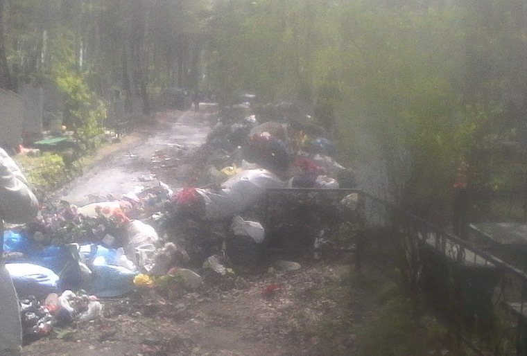 После появления этого фото в Сети прокуратура начала проверку