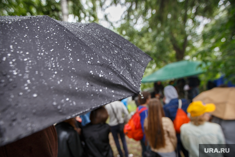 Дождь, Курара и коммунальные платежи, капли, зонтик, дождь