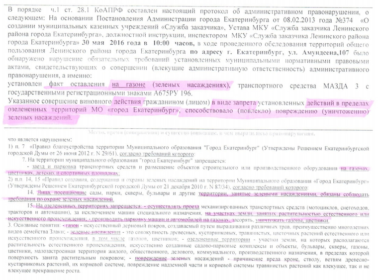Газон определяют как зеленые насаждения, а штраф выносится за их повреждение или уничтожение