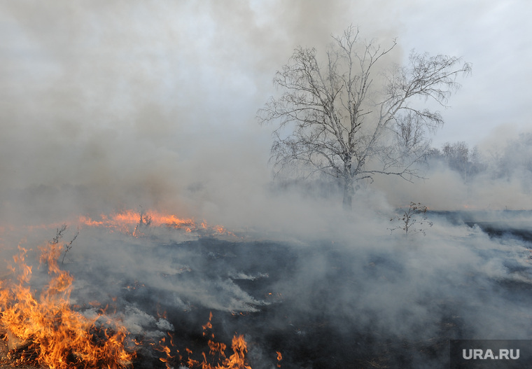Лесные пожары. Учения МЧС. Челябинск, пожар, огонь, трава горит