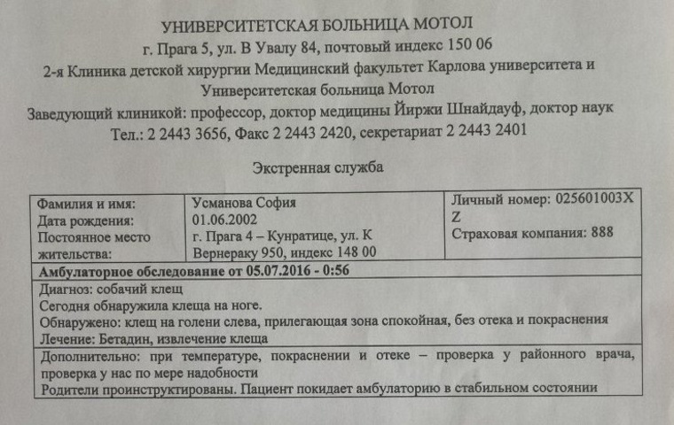 В справке нет никаких данных о проверки клеща на энцефалит