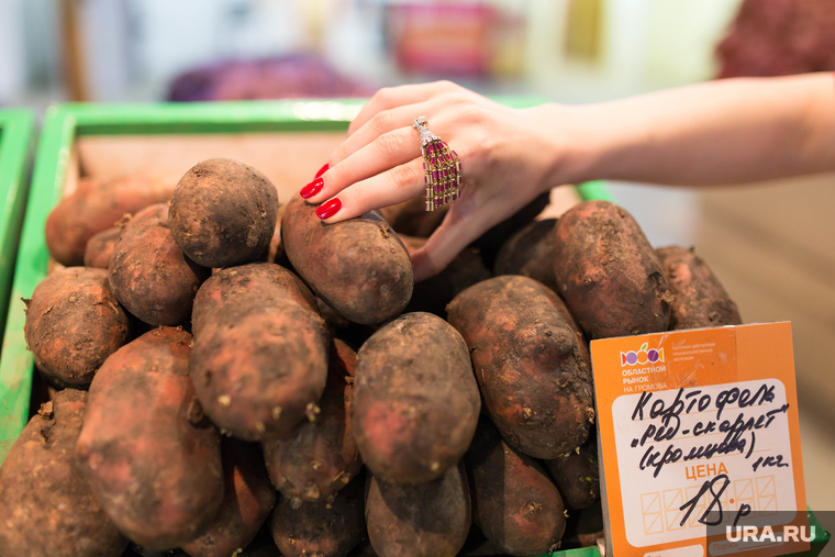 Юлия Михалкова на областном рынке на Громова г. Екатеринбург, картошка, картофель