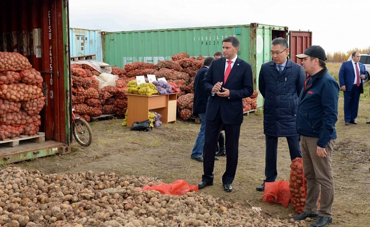 Дмитрий Кобылкин посетил картофельное хозяйство в Салехарде