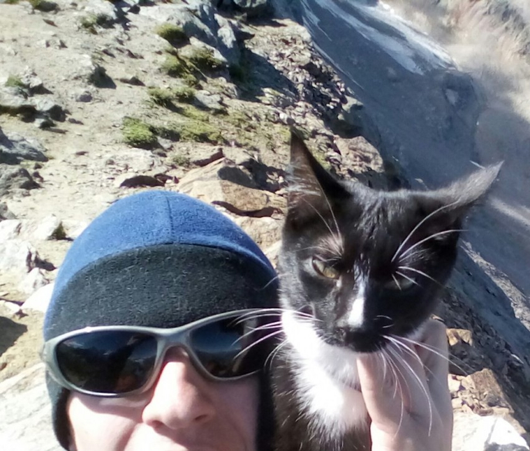 Андрей Останин и его кот забрались на высоту 5 тысяч метров