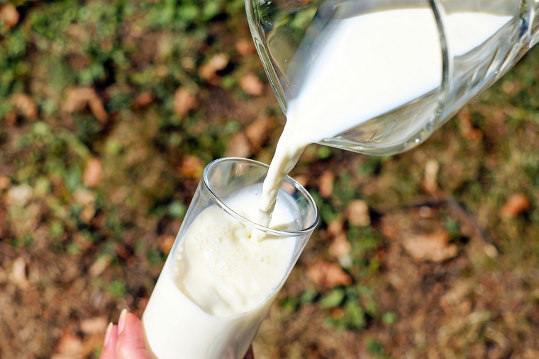 Тюменским производителям молока придется "подвинуться" в торгах за поставки для детсадов