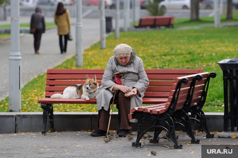 Клипарт. Екатеринбург, пенсионерка, прогулка, скамейка, выгул собак, бабушка