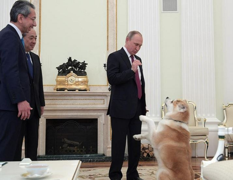 Россиянам нравится собака Владимира Путина