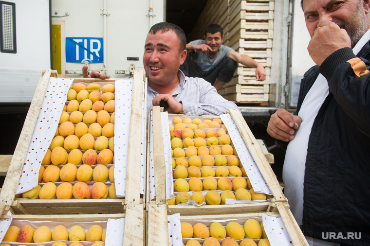 Мигранты, задержанные на 4 овощебазе. Екатеринбург, торговцы, фрукты, абрикосы, продуктовый рынок