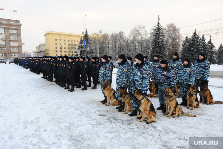 Полиция. Челябинск., кинолог, строй, служебные собаки