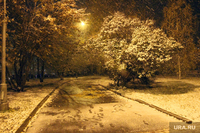Вечер снег
Курган, снегопад, парк, фонарь, вечер