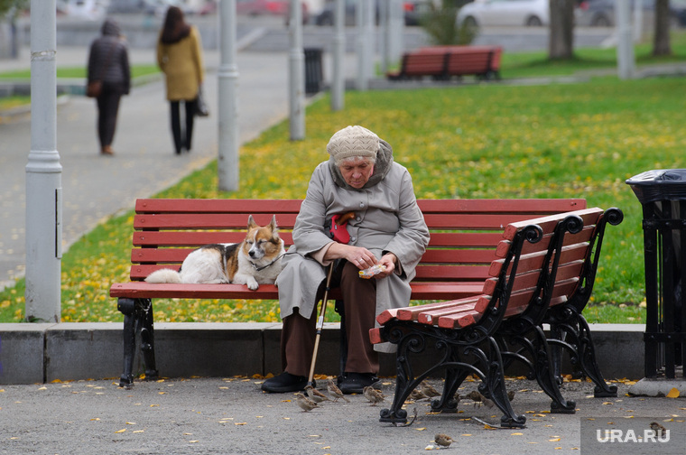 Клипарт. Екатеринбург, пенсионерка, прогулка, скамейка, выгул собак, бабушка