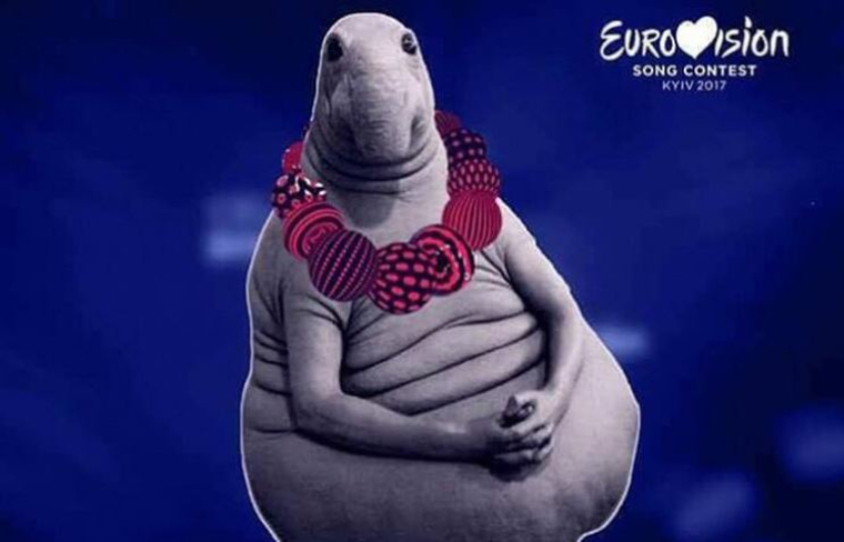"Евровидения" в Киеве можно не ждать