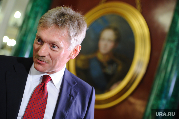 Послание Президента РФ В.Путина Федеральному собранию. 4 декабря 2014г., песков дмитрий, портрет