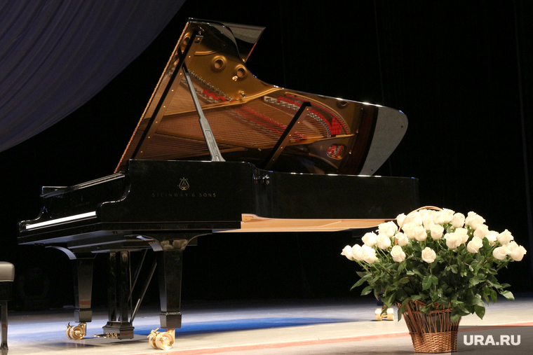Презентация рояля
Курган, концерт, филармония, фортепиано, музыка, букет роз, рояль, музыкальный инструмент
