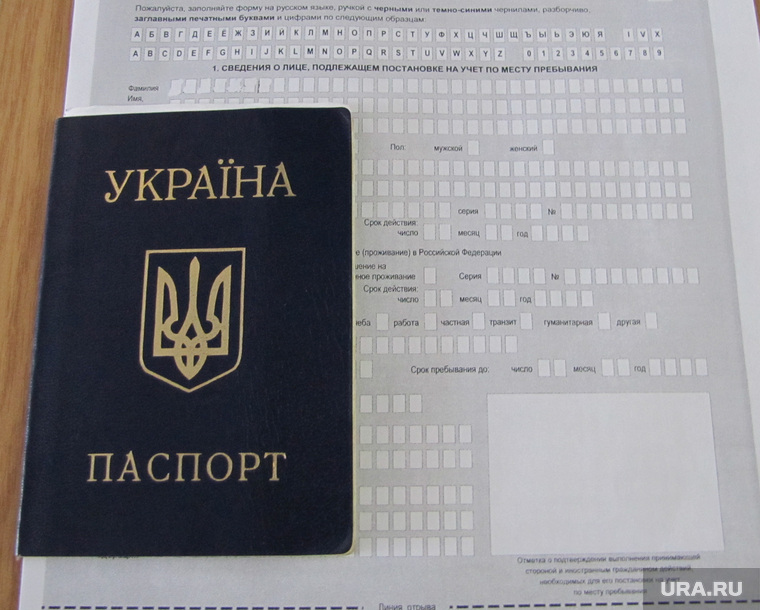 Фото На Паспорт Калинина