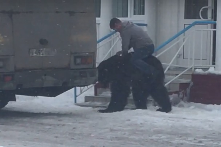 Ручной медведь поразил пользователей Сети