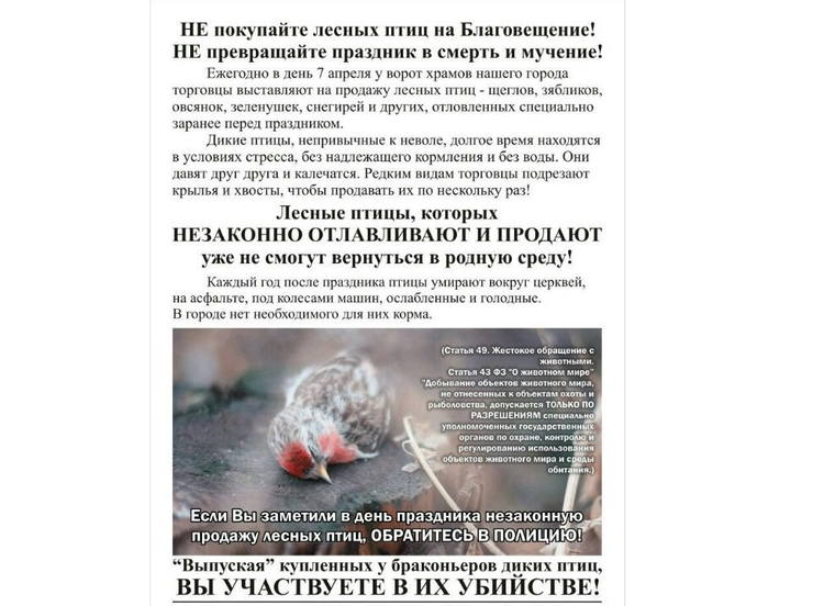 Екатеринбуржцев предостерегают от участия в ритуале