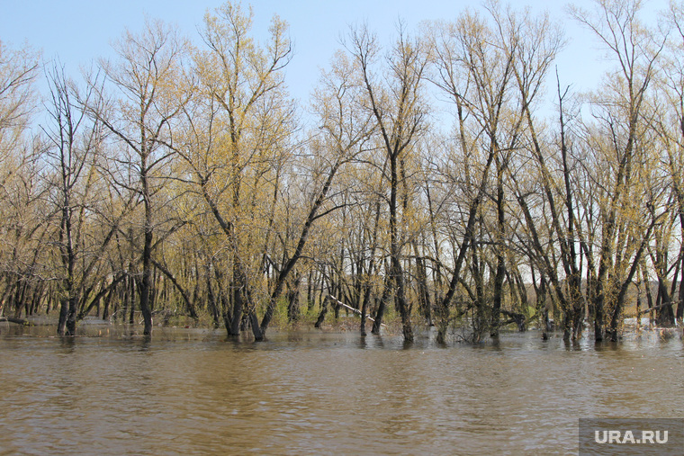 Паводок Затопленные дома
Курган, паводок, деревья в воде, наводнение