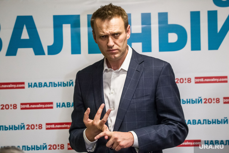 Алексей Навальный посчитал, что извинился за инцидент с Родиной-матерью
