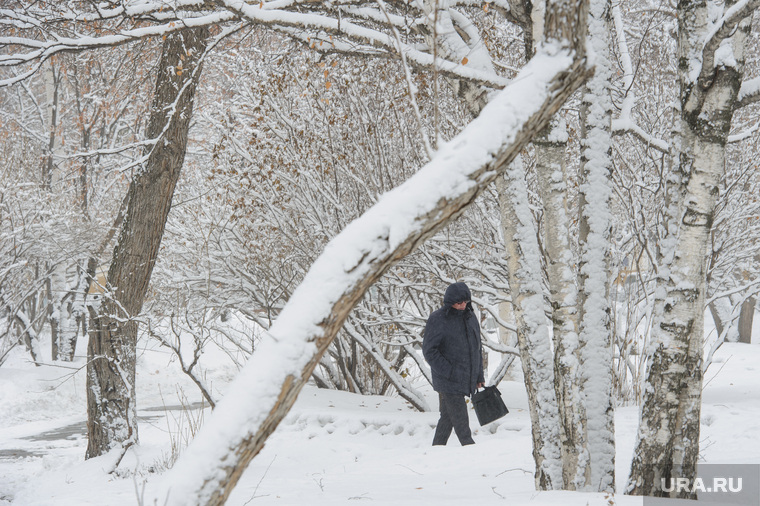 Мартовский снег в Екатеринбурге, снег, зима, парк, снег в городе, прогулка по парку