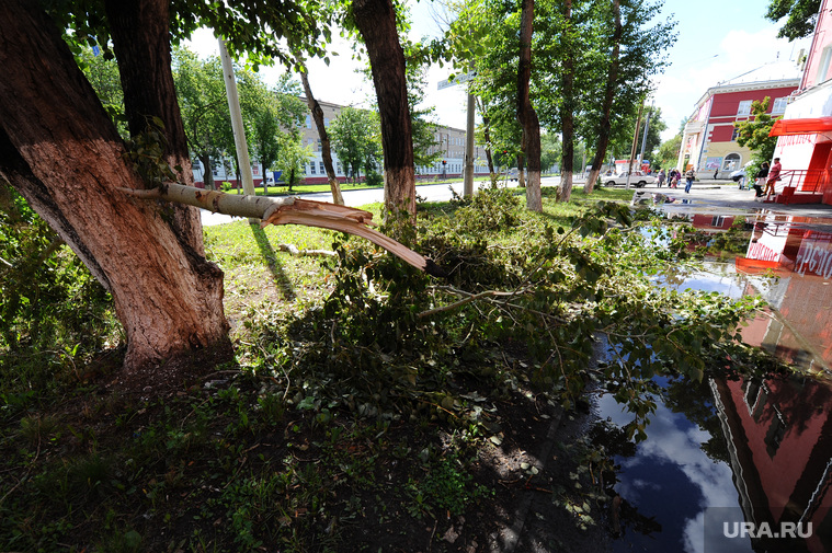 Клипарт. Челябинск., лужа, сломанные деревья, последствия урагана